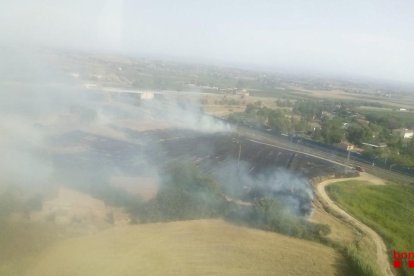 A Lleida es van cremar dos hectàrees.