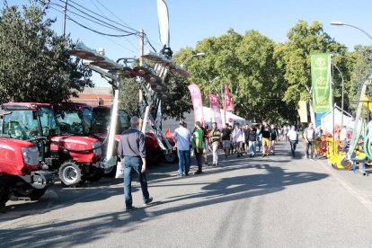 Una imatge de la Fira de Sant Miquel realitzada el 2019.