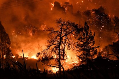 El fuego arrasa 5.000 hectáreas en Grecia