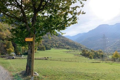 Los terrenos donde se ubicará el campo de golf de Bossòst.