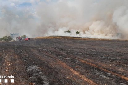 En la extinción participaron una decena de medios de los Bomberos. 