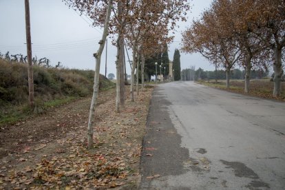 El accidente se produjo el lunes por la noche en el camino de la ermita de Sant Ramon.