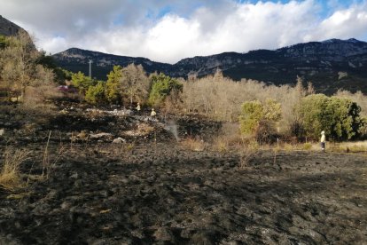 Cinco dotaciones trabajaron en el fuego del Solsonès.