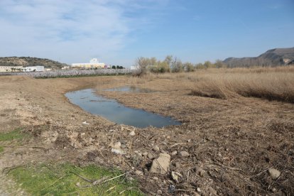 La confluència fluvial en la qual es construirà el mirador.