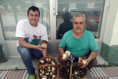 Recogen los primeros 'ceps' en el Pirineo leridano