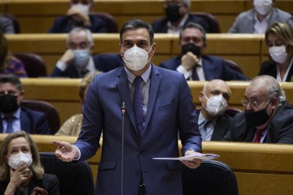 El presidente del Gobierno, Pedro Sánchez, en el Senado.