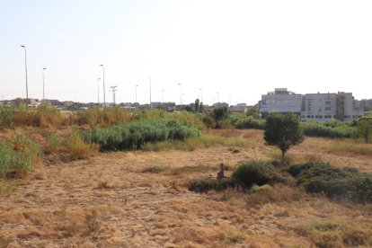 Vista de parte de los terrenos donde Carrefour proyecta un nuevo centro comercial.