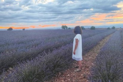 Aquests camps de lavanda de Torregrossa ja han rebut visites de veïns de la comarca.