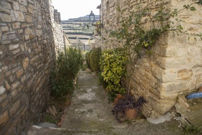 La calle de les Flors en el núcleo de Vilagrasseta.