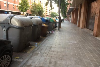 Brutícia al carrer Baró de Maials