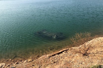 Vista del vehículo que acabó en el interior del pantano de la Bassella en Miralcamp. 