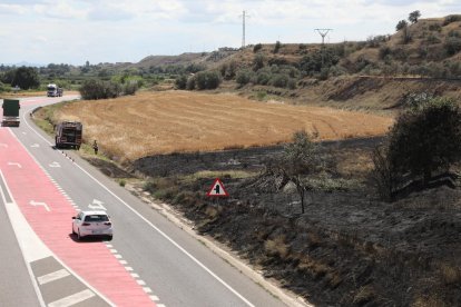 El foc d’ahir a Menàrguens es va produir al costat de la C-12.