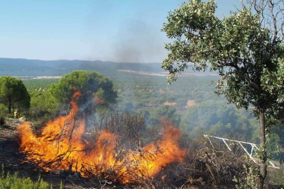 Què hi ha darrere dels incendis forestals?