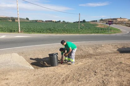 Los dos operarios limpiando cunetas y aceras de viales.