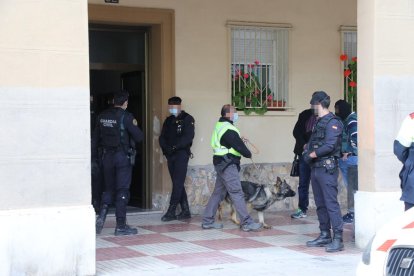 En l’operatiu també van participar gossos ensinistrats en la recerca de drogues i diners.