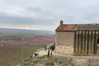 Turistas admirando ayer los campos en flor de Aitona. 