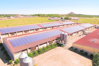 Paneles solares para autoconsumo eléctrico en una granja de la comarca del Segrià.