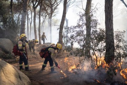 Unes 45 dotacions de bombers lluitaven per sufocar el foc.