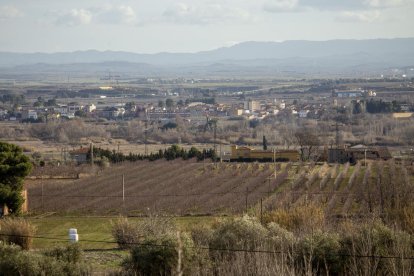 Vista de la partida de Butsènit, que serà de les primeres a estrenar el nou regadiu.