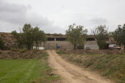 La plantació va ser localitzada en aquesta finca.