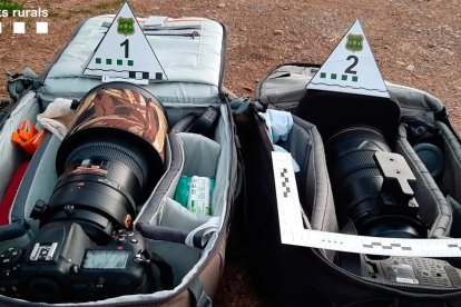 Denunciats per fer fotos al gall fer al Parc Natural de l'Alt Pirineu sense autorització