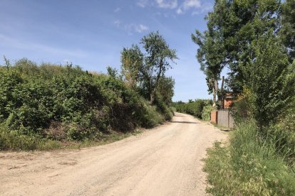 Uno de los caminos de tierra de Les Borges Blanques.