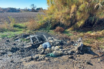 Restos de los dos contenedores incendiados ayer en Vallcalent. 