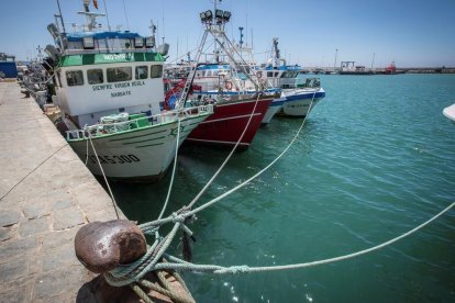 Pesqueros amarrados en Barbate. 