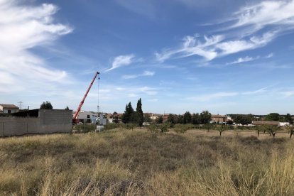 La zona de les Borges en què es construirà el nou circuit.