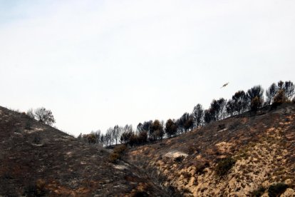 Els Bombers donen per controlat l'incendi d'Alfarràs,