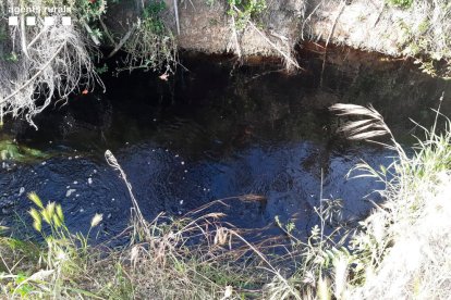 Vista de aguas negras en el río Farfanya, en Castelló de Farfanya. 