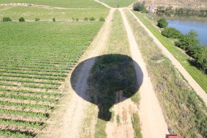 L’empresa va presentar ahir el seu nou projecte i va oferir una visita a la finca a peu i en globus aerostàtic.