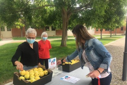 Imagen de la actividad 'Manzanas Contra el Tabaco'