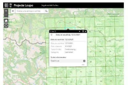 Mapa interactiu de la presència de l'os a Catalunya