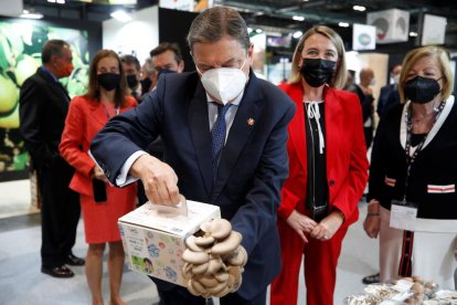 El ministro de Agricultura, Luis Planas, durante la inauguración de Fruit Attraction 2021.