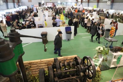 Imagen de la feria del aceite de Maials del año pasado.