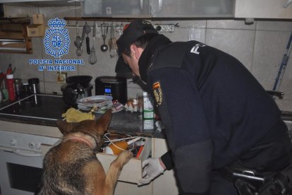 Desarticulan una organización de narcotraficantes