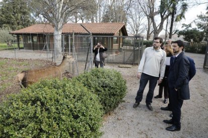 Un moment de la visita del conseller Calvet al Centre de Fauna de Vallcalent.