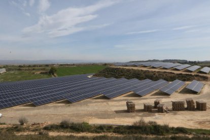 Una instalación reciente de paneles solares en el municipio de Almacelles.