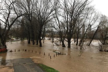 El Ter es desborda a Girona i hi ha cinc rius o rieres més en nivell de perill