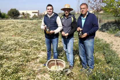 Elixirs de Ponent presenta un licor de manzanilla de Linyola
