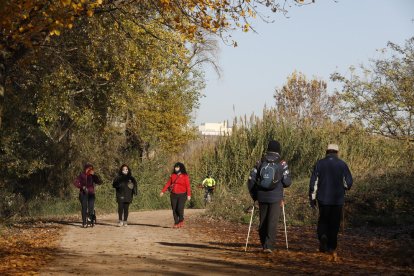 El camí al costat de la séquia Major de Pinyana a Lleida.