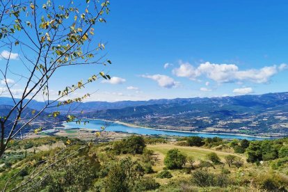 La coma i el punt (de vista)