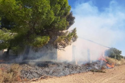 El foc es va declarar a les 12.46 hores d’ahir a prop del cementiri.
