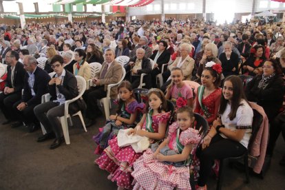 Multitudinaria
