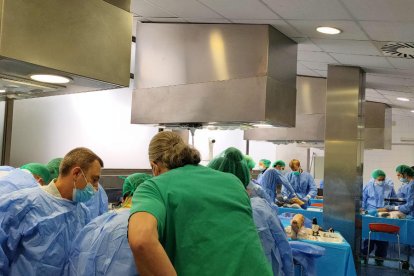 Participantes en el curso en la facultad de Medicina.