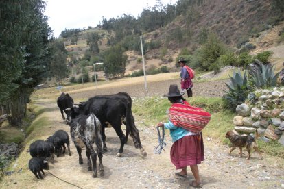 Matemàtica per a una agricultura intel·ligent