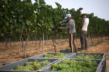 Codorníu Raventós cambia su sede social de Cataluña a La Rioja