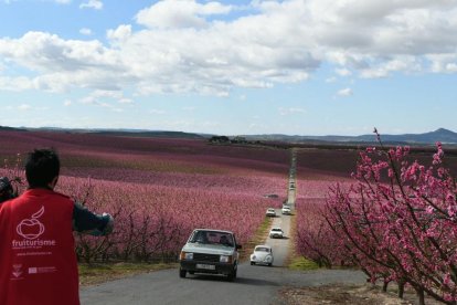 Vista de l’arribada de cotxes a una de les visites enmig dels camps tenyits de rosa.