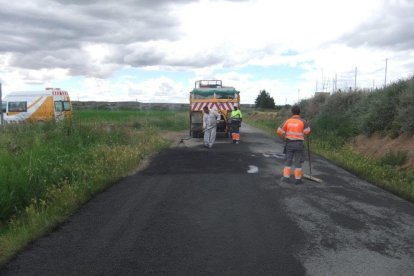 Operarios trabajando en uno de los caminos de Alcarràs.